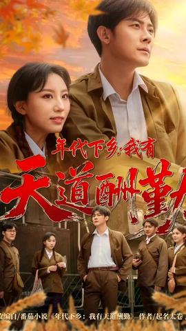 年代下乡我有天道酬勤